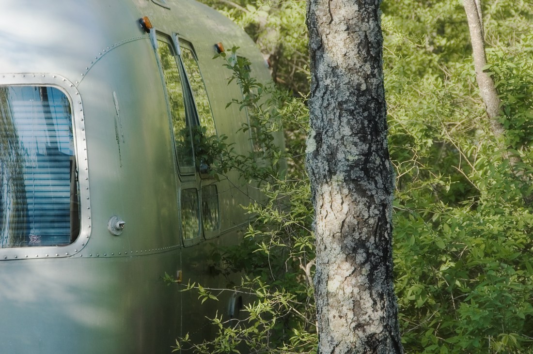 Trailer and Trees, Spring 2007