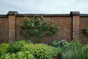 Garden Wall at Chartwell, Westerham 2014 by Leslie Hossack