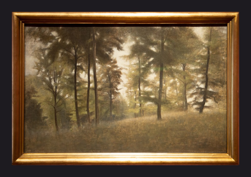 1904, Young Beech Forest, Frederiksvoerk by Leslie Hossack